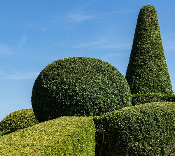 comment concevoir un jardin avec des différentes textures et couleurs