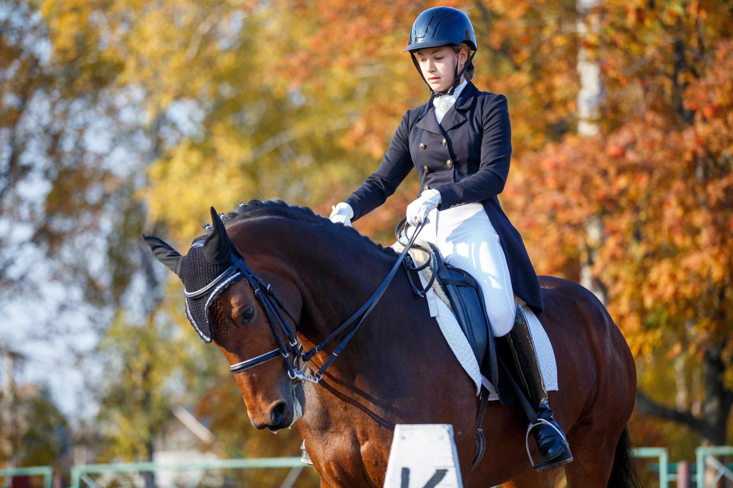 L’impact des centres de tables et des décorations dans le dressage à la française