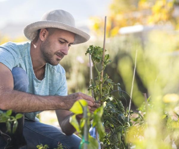 Les dernières tendances en matière de décoration de cuisine