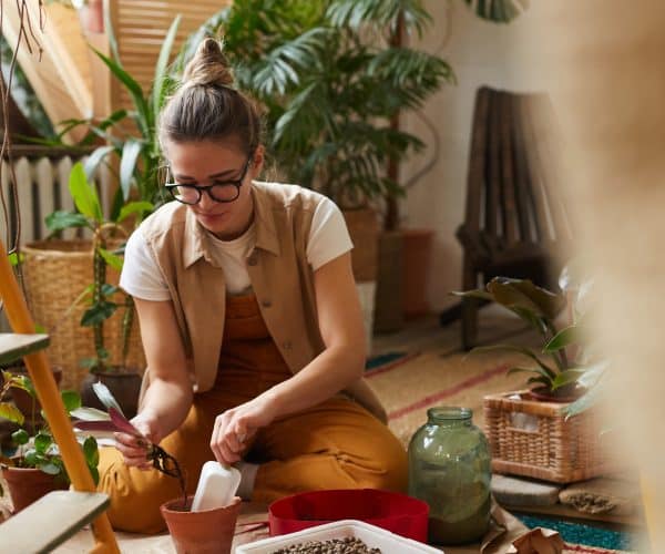 les astuces pour bien choisir et entretenir vos plantes d’intérieur