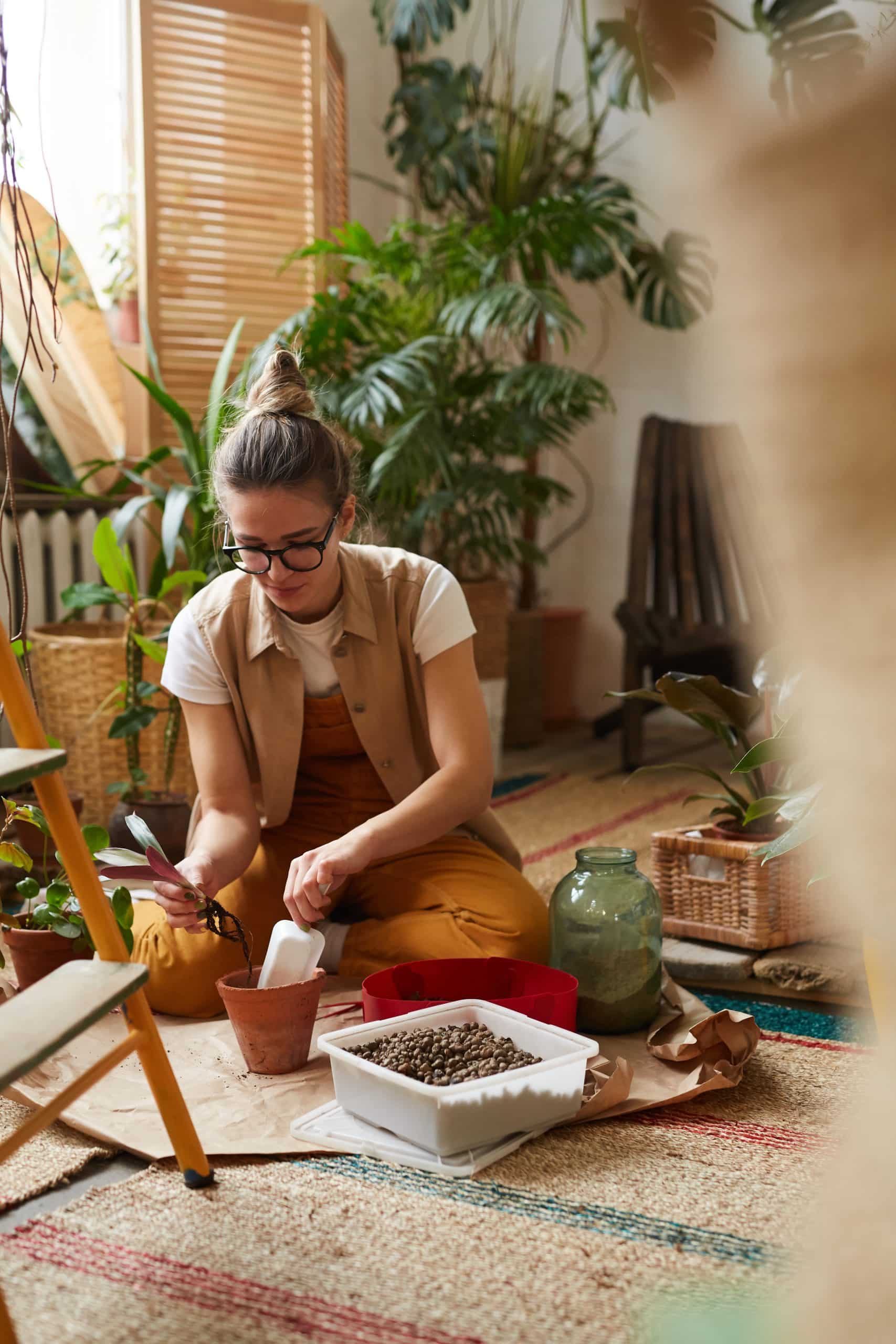 les astuces pour bien choisir et entretenir vos plantes d’intérieur